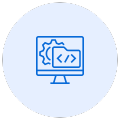 custom software development